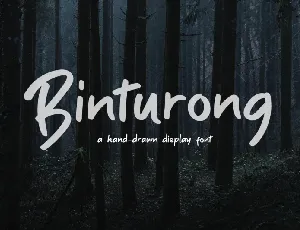 Binturong font