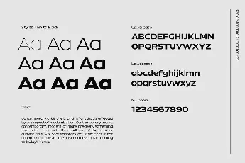 Bizmo Family font