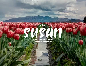 Susan Brush Free font