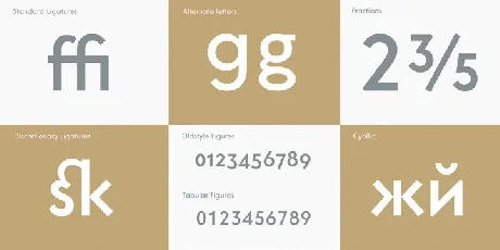 Core Sans G Family font