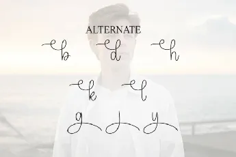 Singleboy Script font