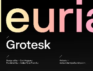 Neurial Grotesk Family font