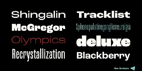 Roc Grotesk Family font