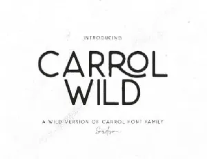 Carrol Wild Sans Serif font