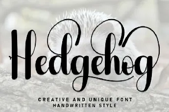 Hedgehog Script font