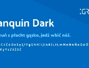 Palanquin Dark font