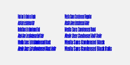 Media Sans Family font