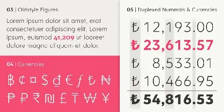 Clarika Pro Family font