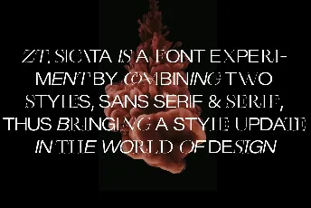 Zt Sigata font