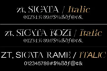 Zt Sigata font