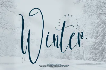 Winter font