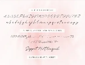 Candara Beauty Script