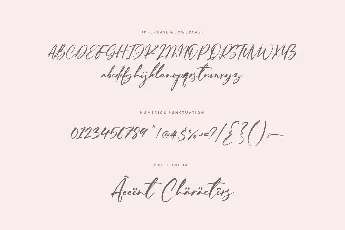 Ferguson Hunter font