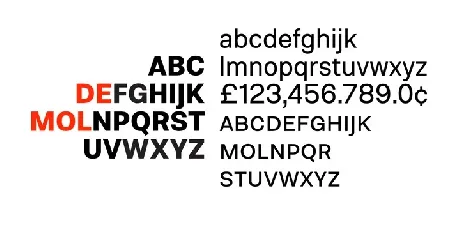 Molde Family font