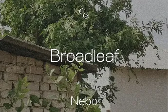 Broadleaf font