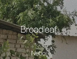 Broadleaf font