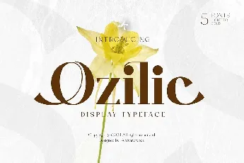 Ozilic font