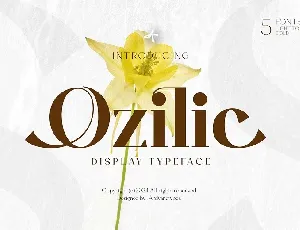 Ozilic font