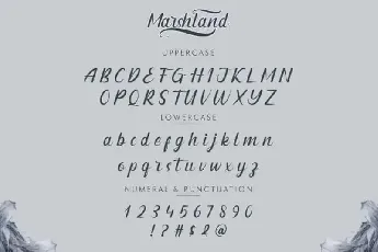 Marshland Calligraphy font