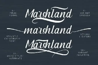 Marshland Calligraphy font