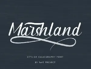 Marshland Calligraphy font