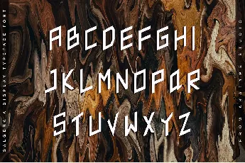 Salgera - Demo font