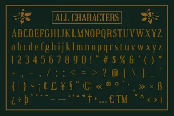 Acelon Blur font