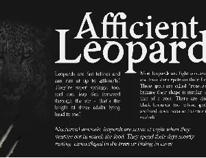 Asmath Sharp Serif font