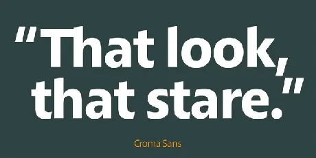 Croma Sans Family font