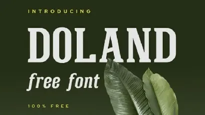 Doland Serif font