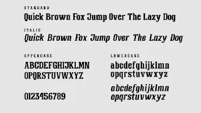 Doland Serif font