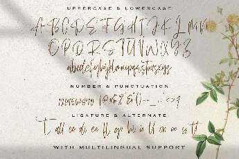 Sellviny Queen Script Handwritten font