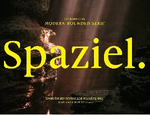 Spaziel font