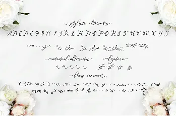 Nazeefa Script Free font