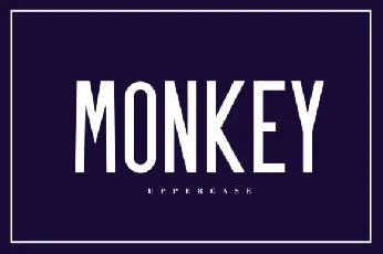 Monkey Sans Serif font