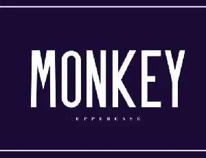 Monkey Sans Serif font