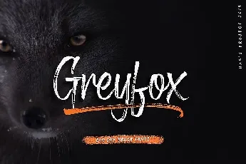 Greyfox Brush font