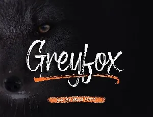 Greyfox Brush font