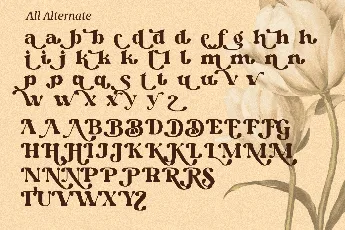 Dianda DEMO font