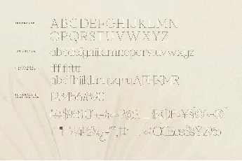 Callidora font