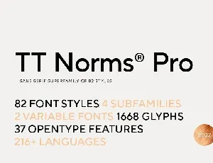 TT Norms Pro Family font