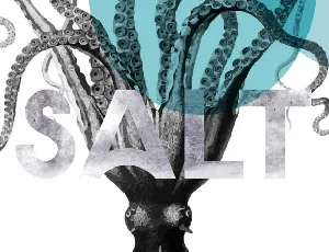 Salt Typeface font