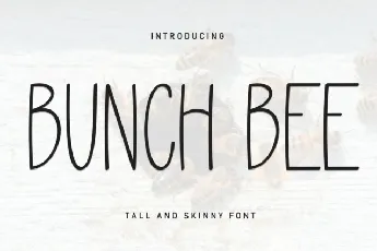 Bunch Bee Display font