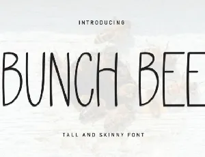 Bunch Bee Display font