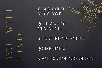 Black Gold Serif font