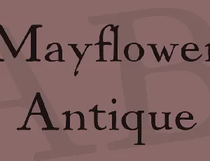 Mayflower Antique font