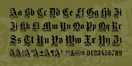 Medici Text font