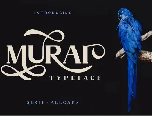 Murai Typeface font