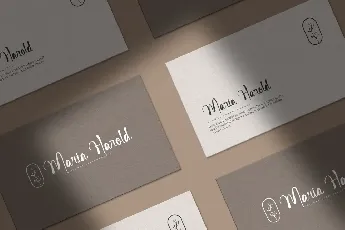 Makeup Looks Demo font