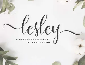 Lesley font